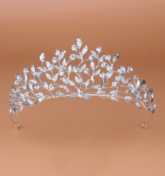 Crown Silver & Clear Rhinestones Crystals