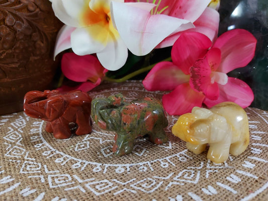 Spiritual Growth Crystal Pack Of 3 (#5)