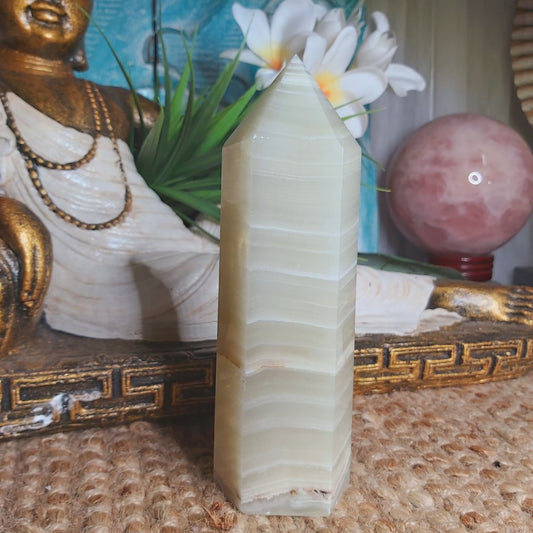 Afghan Jade Healing Crystal 645 gms (GEM123)