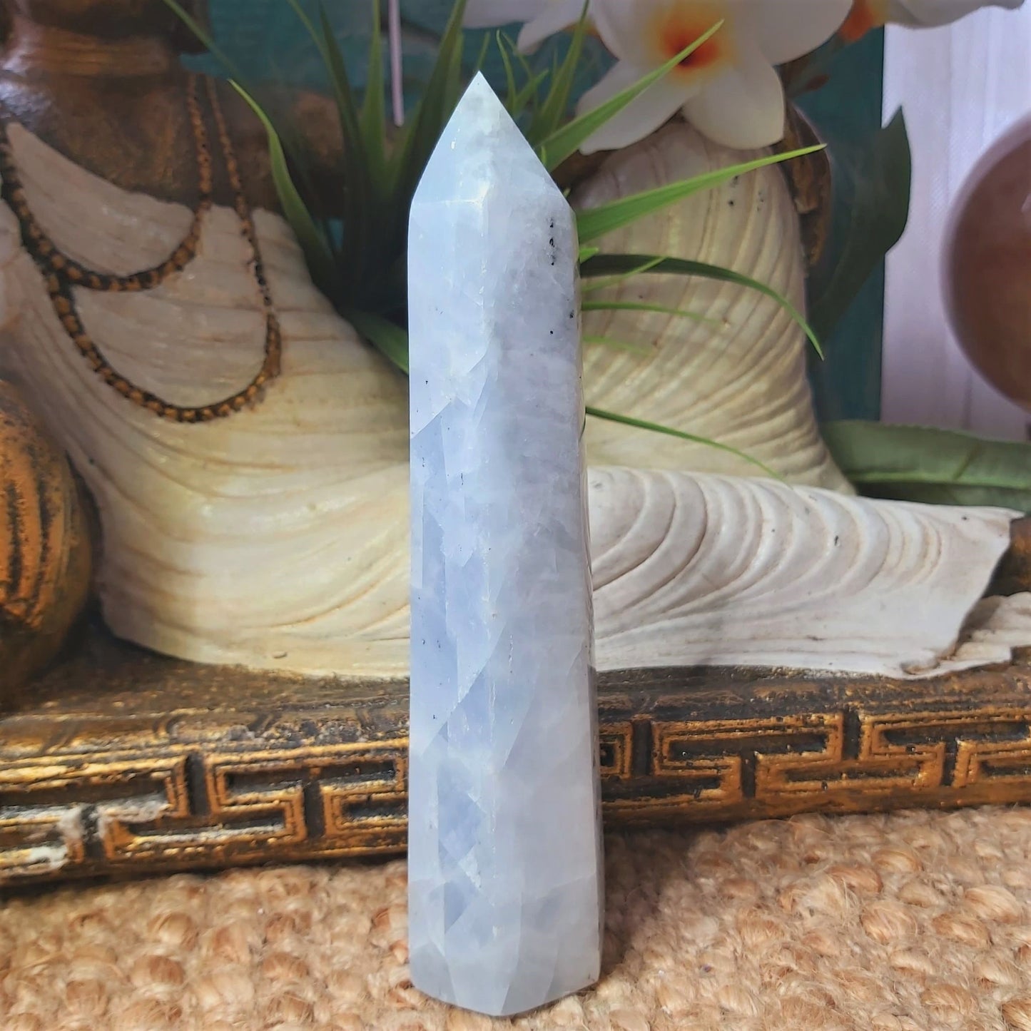 Celestite Soul Star Crystal Gemstone 337 gms (GEM198)