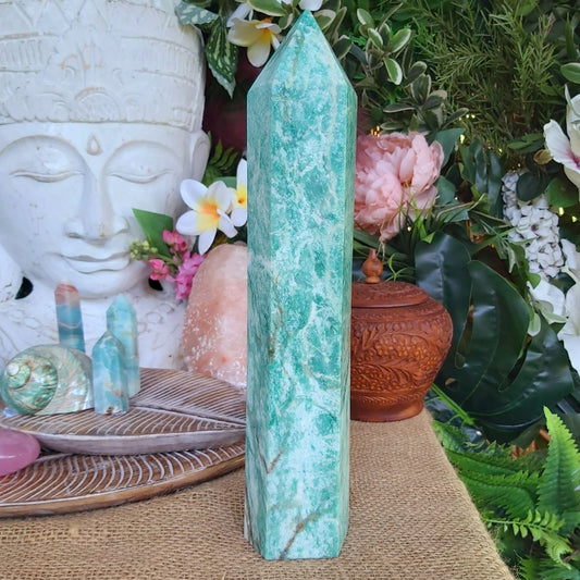 Amazonite Truth Crystal 2619 gms (GEM88)